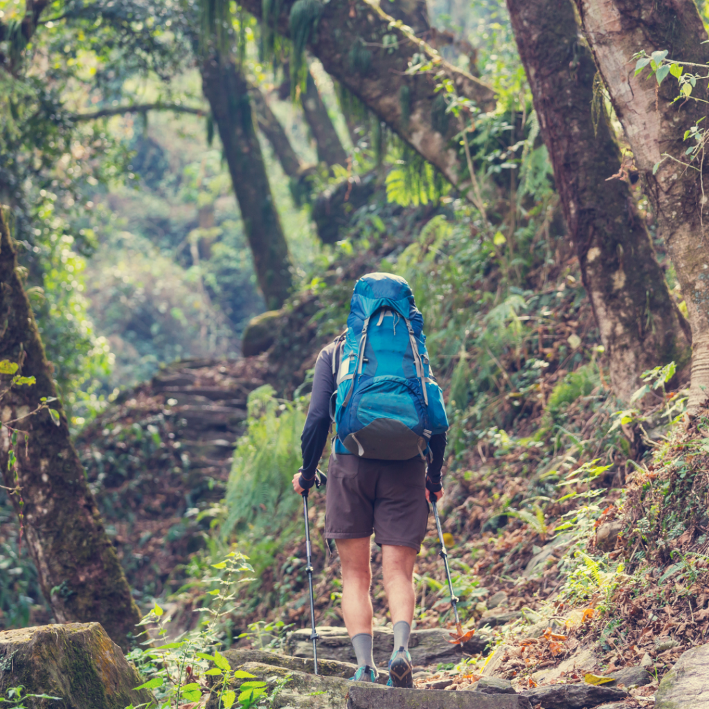 3 - Sacred Journey Recovery