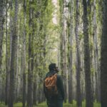 - Sacred Journey Recovery