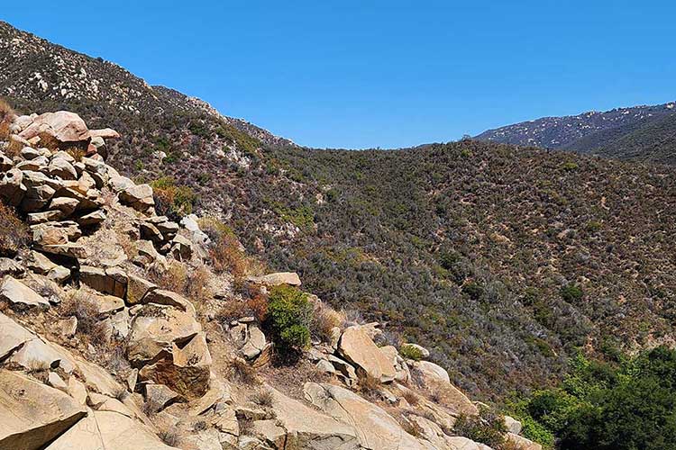 Benzodiazepine addiction treatment vista ca2b Benzodiazepine Addiction Treatment