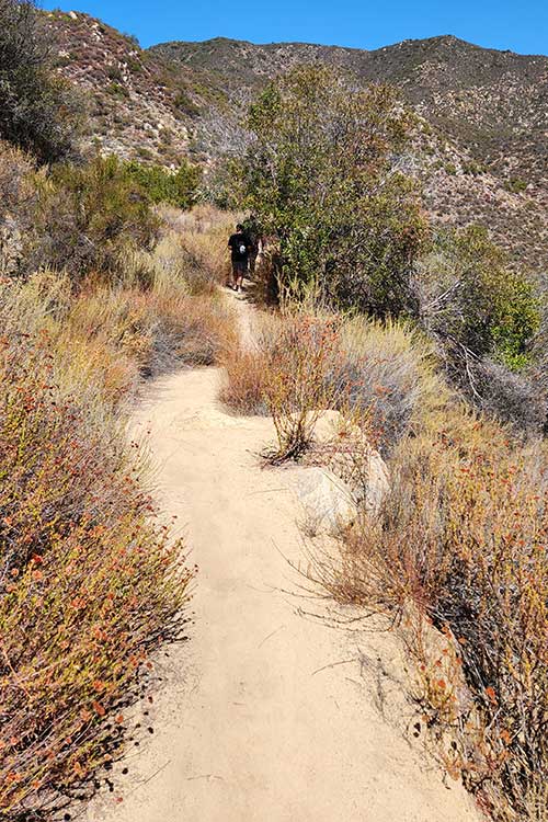 Men hiking while in outdoor adventure therapy for Gabapentin Addiction in Vista, CA