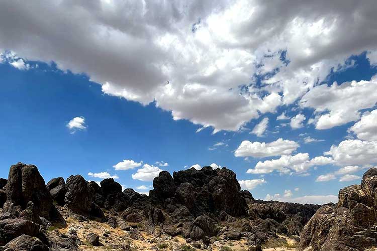 Photo showing calm setting for Oxycodone addiction treatment for men in Vista, CA