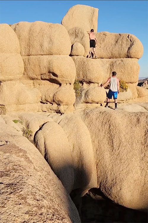 drug detox withdrawal management program a Drug Detox & Withdrawal Management